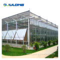 Agricultural multi-span glass Greenhouse